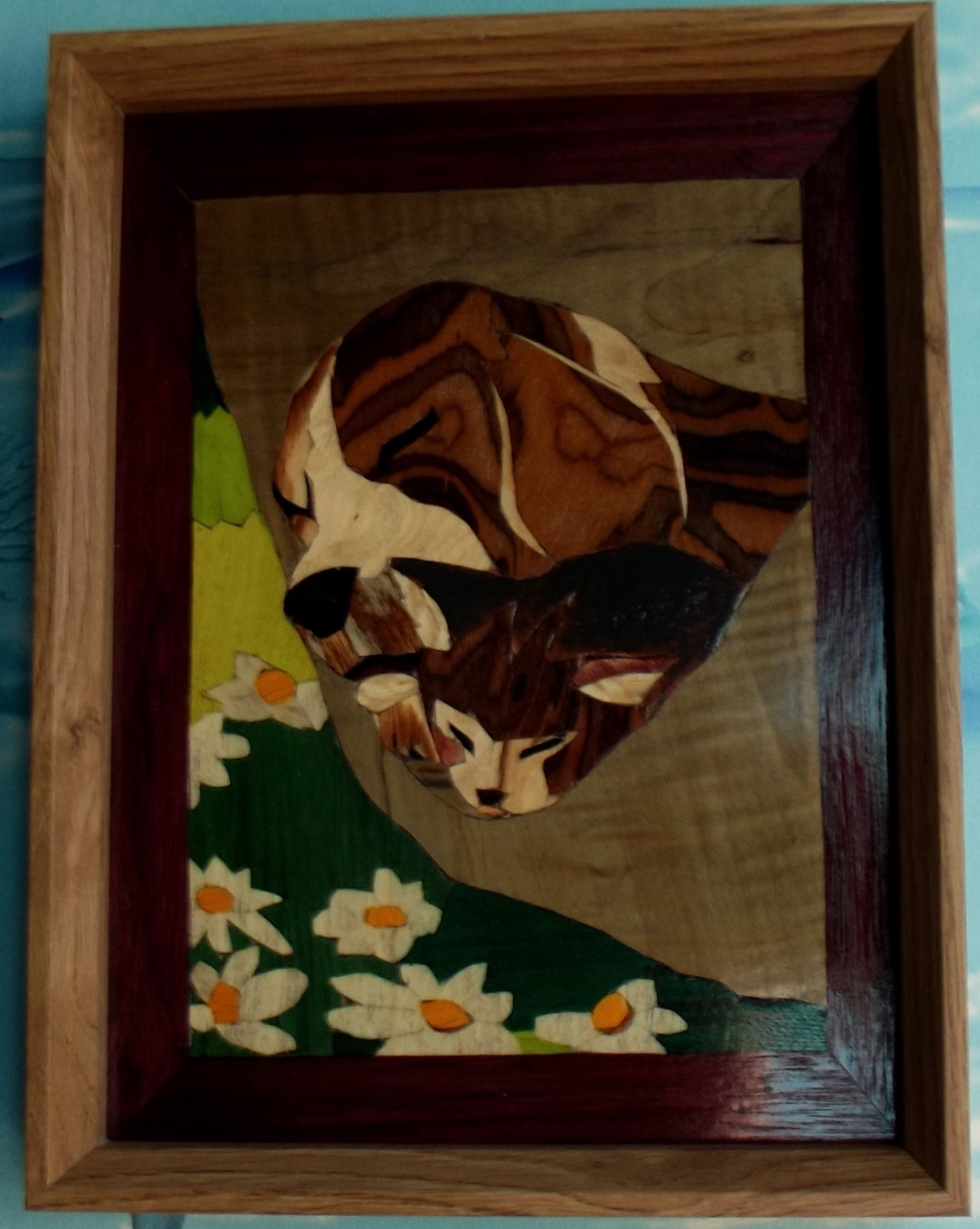 Chien et chat