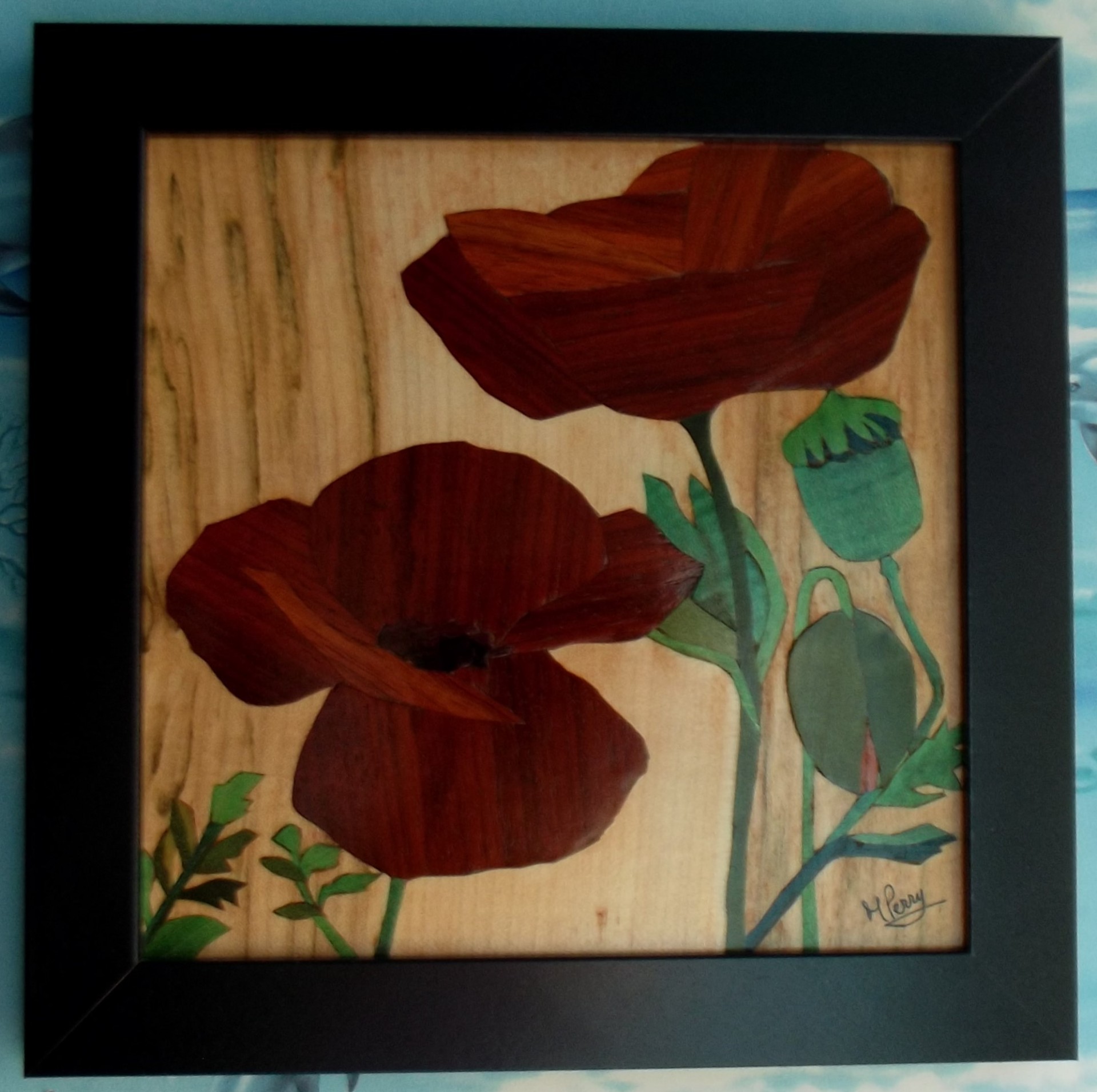 Jolis coquelicots .