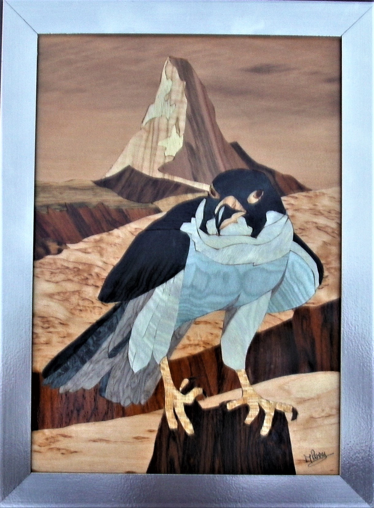 Faucon pelerin